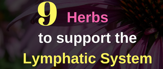 herbs for the lymphatic system